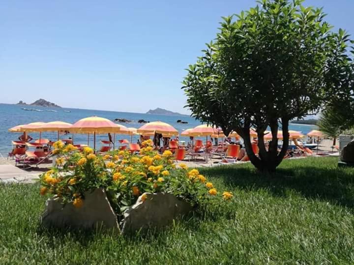 Marina'S Apartment Ogliastra Lotzorai Zewnętrze zdjęcie